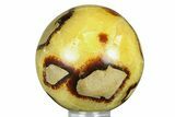 Polished Septarian Sphere - Madagascar #289929-1